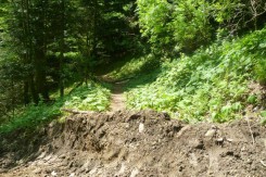 Presječena planinarska staza, Foto: Planinarski savez Zagreba