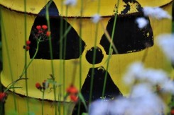 Foto: news.xin.msn.com