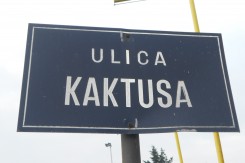 Foto: S. Šimpraga