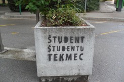 Foto: M. Zaplotnik