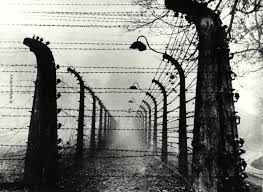 auschwitz2.jpg