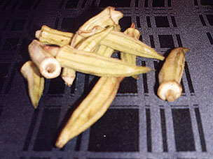 bar04.jpg