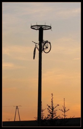 bic_polish-photo-nature.jpg