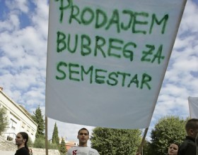 bubreg.jpeg