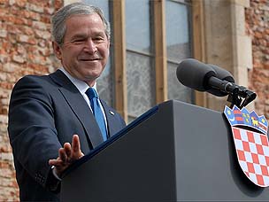 bush.jpg