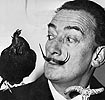 dali_1.jpg