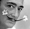 dali_2.jpg
