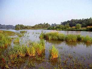 drava_b.jpg