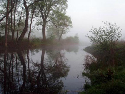 gornje_podunavlje.jpg