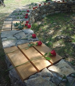 gosic2_foto_tamara_opacic.jpg