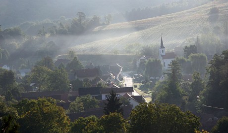 Jagnjedovec