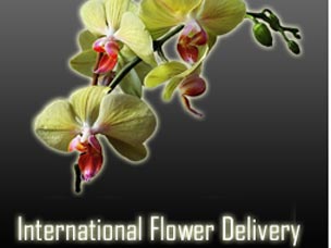 international_flower_delive.jpg