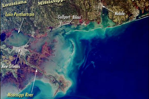 katrina08.jpg