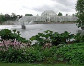 kew.jpg
