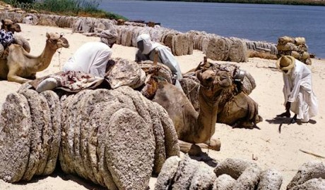 lake_chad.jpg
