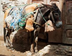 msn.com.jpg