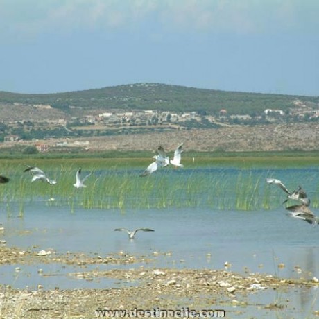 park_prirode_vransko_jezero.jpg