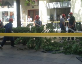 parvonagrad_4.jpg