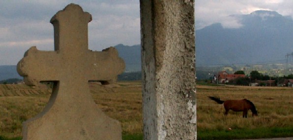 pict2993.jpg
