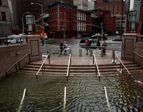sandy.jpg