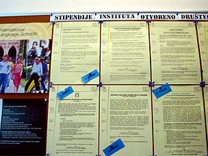 sic_halter_03.jpg