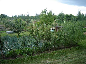 Foto: Plodovi na svakom koraku