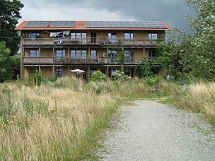 strohpolis2.jpg