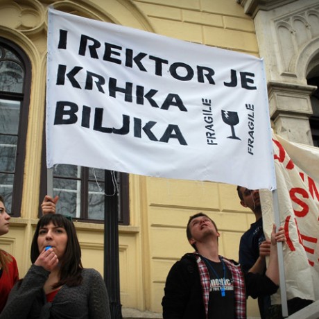 studenti_hnk8.jpg