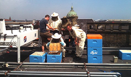 urbani_pelari_u_londonu_foto_guardian.co.uk.jpg
