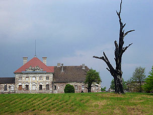 vukovar_drvo.jpg