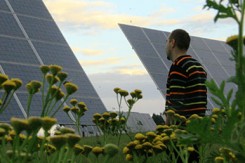 Solarna elektrana u Feldheimu
