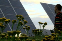 Vjetropark i solarna elektrana u Feldheimu