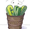gmo_no5.jpg