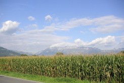 Foto: Wikimedia Commons<br>