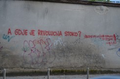 Foto: Szerda Zsofia<br>