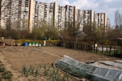travno2_f54.jpg