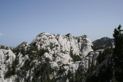 02_park_02.jpg