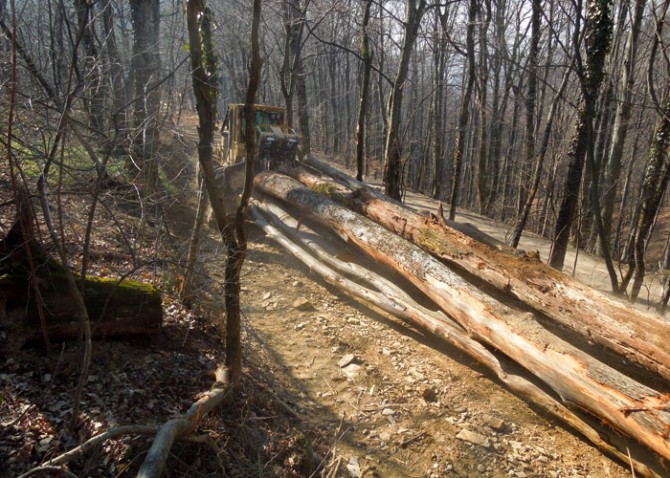 sljeme_11_tg.jpg