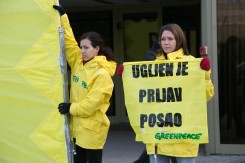 Foto: Greenpeace