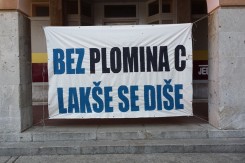 plomin_copy51309.jpg