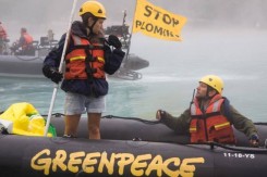 Foto: Greenpeace