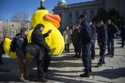 Foto: Ne da(vi)mo Beograd<br>