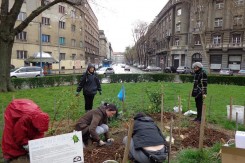 Sadnja u vrtu prije dva tjedna/ Foto: Parkticipacija