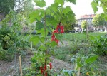 Foto: Parkticipacija<br>
