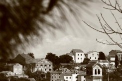 losinj_241.jpg