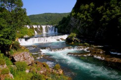 Foto: Mirela Šavrljuga<br>