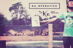 kaoperativa.png