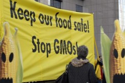 Foto: sustainablepulse.com