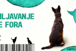 udomljavanje.jpg
