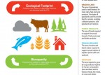 Foto: WWF,GFN